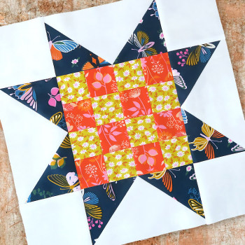 Quilt Sew Along 22 Checkerboard Star Fabric Bundle - Block 2